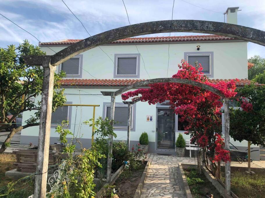 Apartament Casa Almenara Quinta do Anjo Zewnętrze zdjęcie