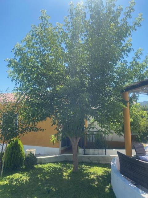 Apartament Casa Almenara Quinta do Anjo Zewnętrze zdjęcie