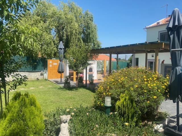 Apartament Casa Almenara Quinta do Anjo Zewnętrze zdjęcie